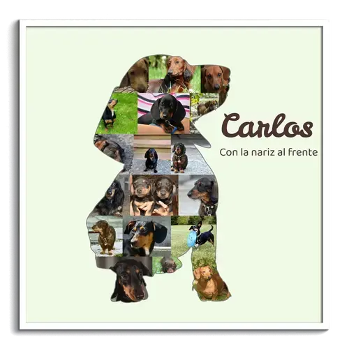 Crea tu collage de Dackel con fotos y texto personalizados