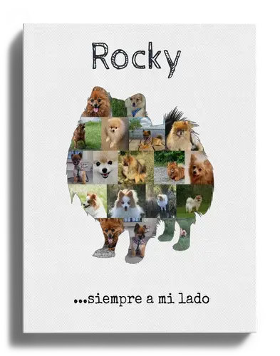 Crea tu Collage de Zwergspitz Personalizado: ¡Una memoria única para tu hogar!
