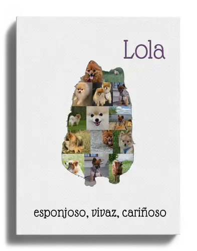Crea tu Collage de Zwergspitz Personalizado: ¡Una memoria única para tu hogar!