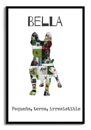 Crea tu Collage Bulldog Francés: Personaliza con tus fotos y frases únicas