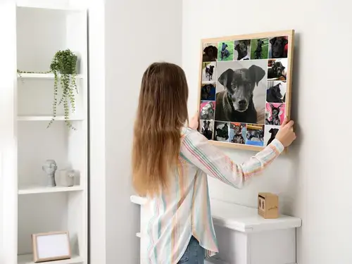 Collage de Fotos de Perros con Diseño Personalizado