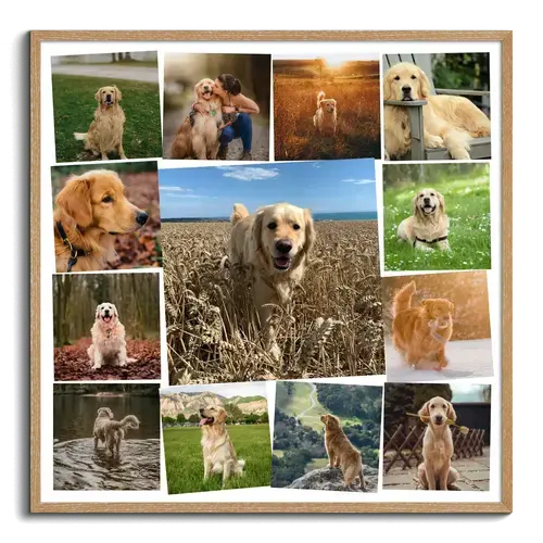 Collage de Fotos de Perros con Diseño Personalizado