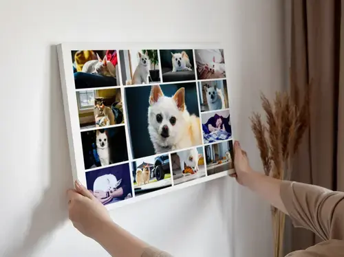 Collage de Fotos de Perros con Diseño Personalizado