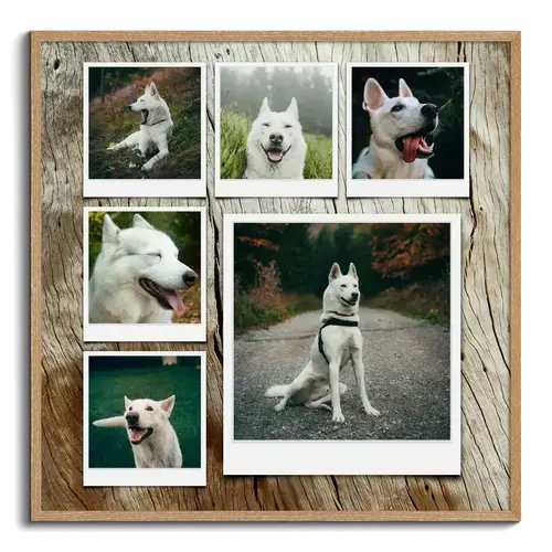 Collage de fotos de perro personalizable