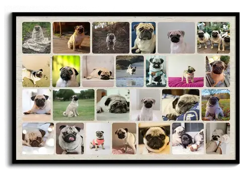 Collage de fotos de perro personalizable
