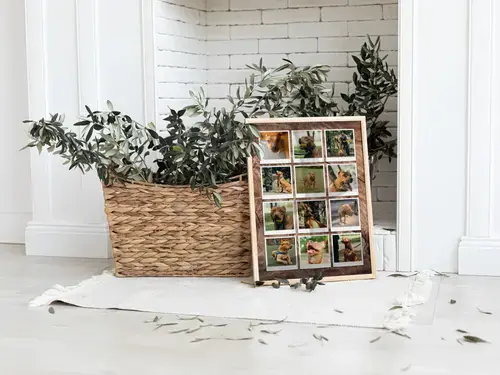 Collage para perro en corazón o Polaroid