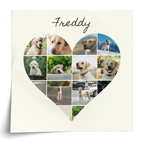 Collage para perro en corazón o Polaroid