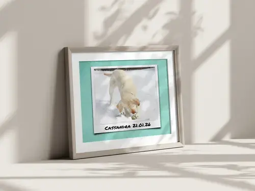 Collage para perro en corazón o Polaroid