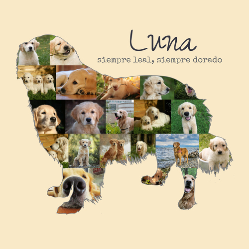 Crea tu Collage del Golden Retriever Personalizado – Recuerdos Únicos