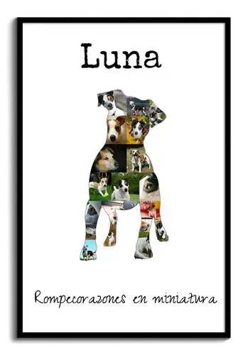 Crea tu Collage de Jack Russell: Personaliza con tus Fotos y Texto