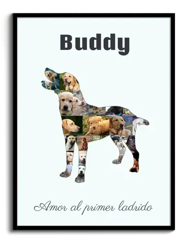 "Crea tu collage de Labrador: creatividad y recuerdos personalizados"