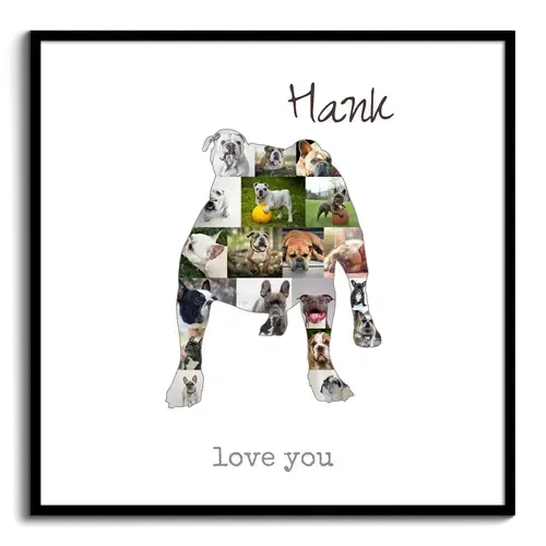 Crea tu Collage de Bulldog con Fotos y Texto Personalizado