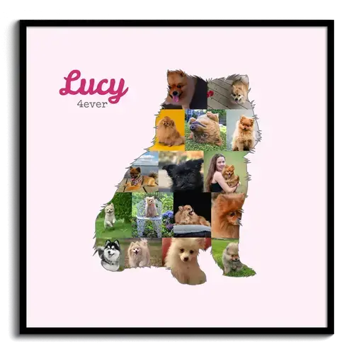 Crea tu collage Pomerania con fotos personalizadas y texto