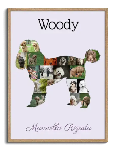 Crea tu Collage de Poodle Personalizado: Recuerdos en Cada Rizo