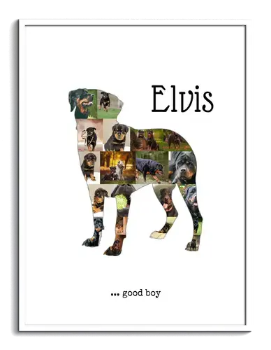 Crea tu propia collage de Rottweiler con fotos personales y texto único.