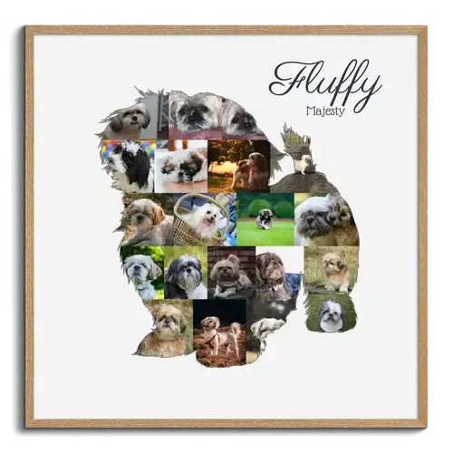 Crea tu collage Shih Tzu único: Personaliza fotos y texto