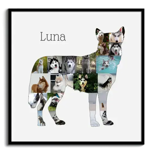 Crea una Collage Personalizada de Husky Siberiano con Fotos de tu Perro