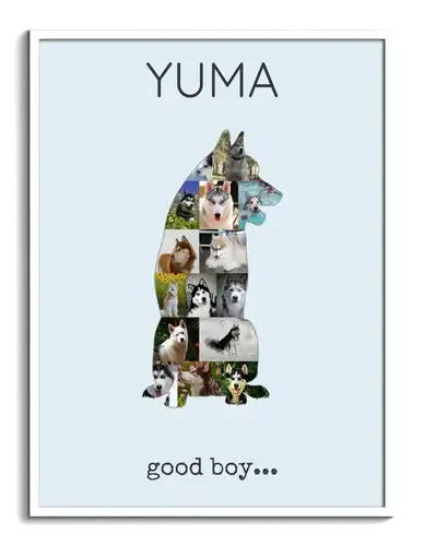 Crea una Collage Personalizada de Husky Siberiano con Fotos de tu Perro