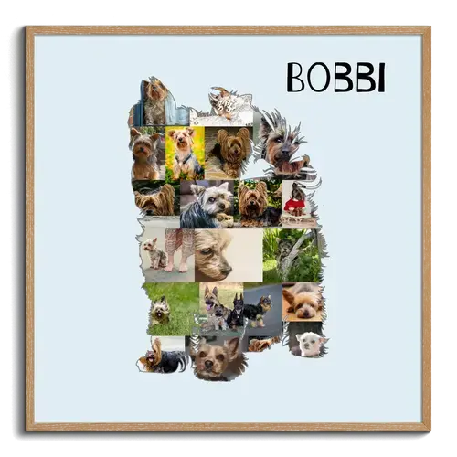 Crea tu Collage de Yorkshire Terrier: Personaliza con tus Fotos