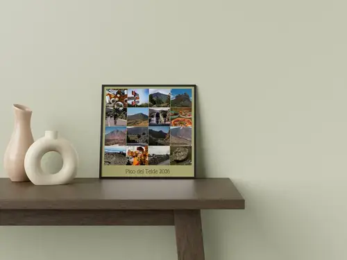 Plantilla de bici de carretera con texto