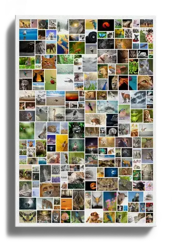 Crea tu propia fotocollage salvaje para decorar tu hogar