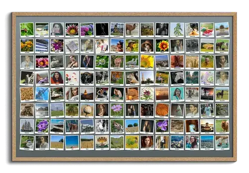 Crea tu Collage Polaroid: Recuerdos de Viajes con más de 100 fotos Personalizadas