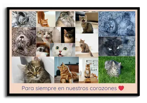 Collage de fotos en memoria de tu gato/a