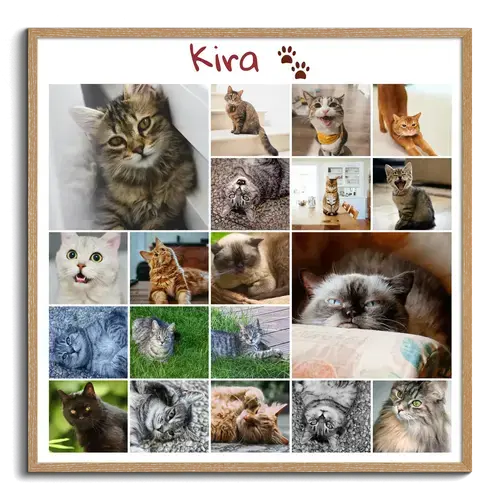 Collage de fotos en memoria de tu gato/a