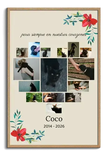 Collage recuerdo gato: foto única, nombre y fechas