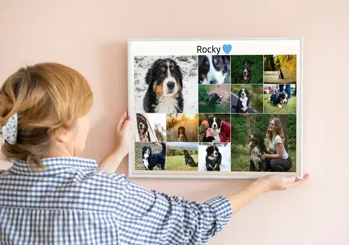 Collage homenaje de perro B/N con nombre y fechas
