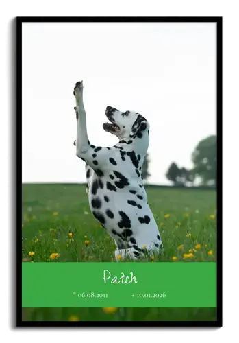 Collage memorial perro, 1 foto con nombre y fechas