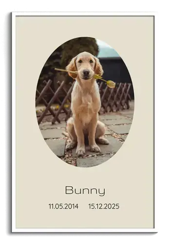 Collage memorial perro, 1 foto con nombre y fechas