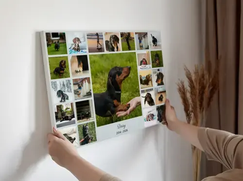 Collage silueta de perro con fotos, nombre y años