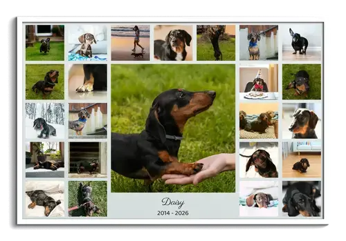 Collage silueta de perro con fotos, nombre y años