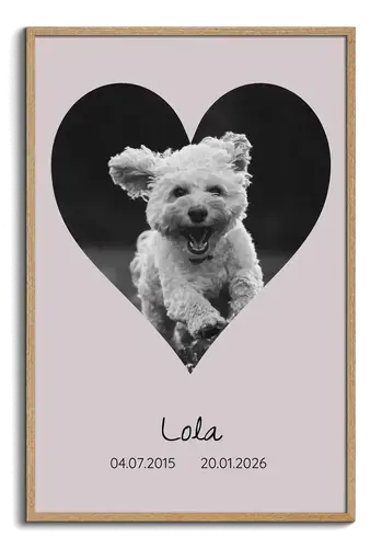 Collage silueta de perro con fotos, nombre y años