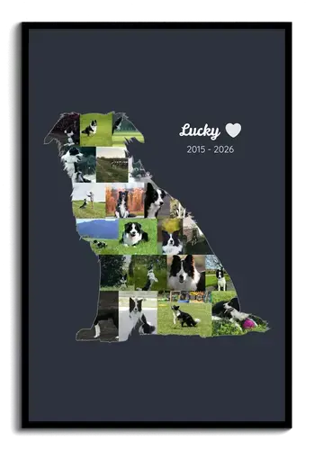 Collage silueta de perro con fotos, nombre y años