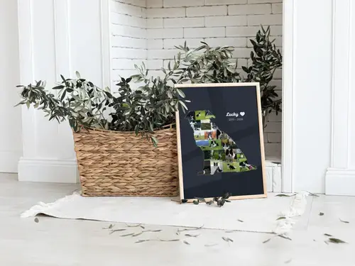 Collage silueta de perro con fotos, nombre y años