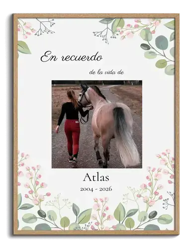 Póster conmemorativo caballo con foto y nombre