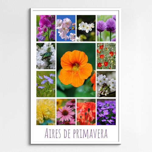 Collage de flores y plantas: crea online y pide impresión premium de tus fotos