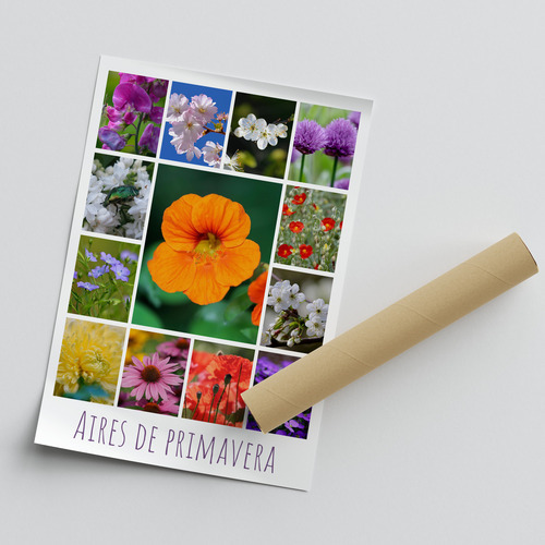 Collage de flores y plantas: crea online y pide impresión premium de tus fotos