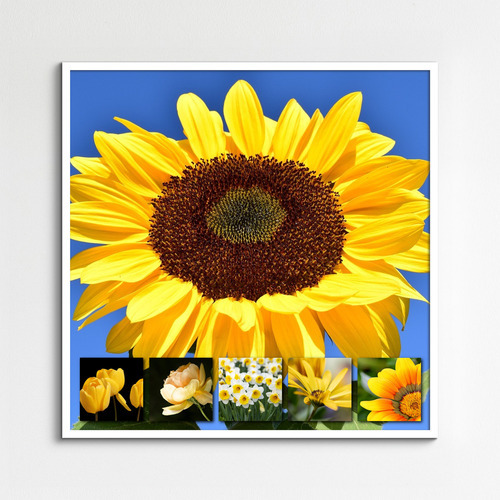 Collage de flores y plantas: crea online y pide impresión premium de tus fotos