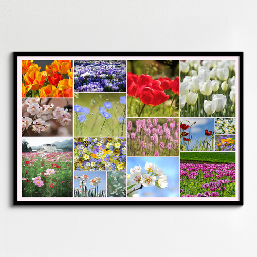 Collage de flores y plantas: crea online y pide impresión premium de tus fotos