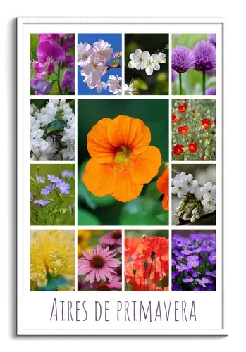 Fotocollage de primavera: flores y plantas