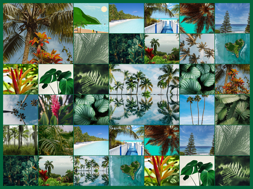 Collage de fotos de naturaleza crea e imprime premium plantas, palmeras y selva tropical