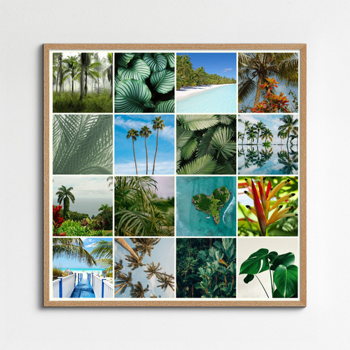 Collage de fotos de naturaleza crea e imprime premium plantas, palmeras y selva tropical