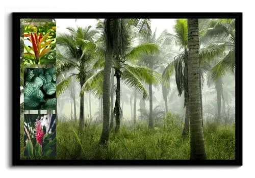 Collage Premium: Plantas Tropicales y Palmeras