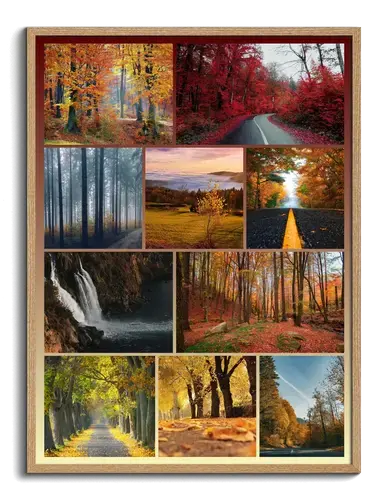 Collage Premium: Paisajes Naturales y Estaciones