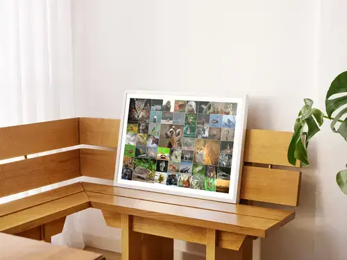 Collage Premium: Fauna Salvaje y Aves