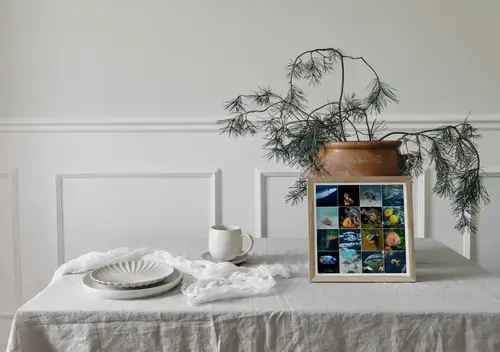 Collage Premium: Fauna Marina y Buceo