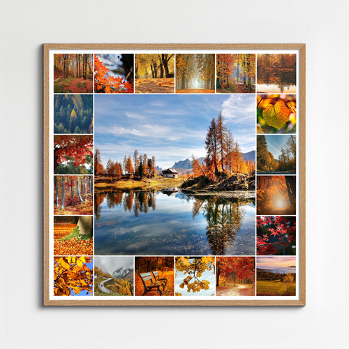 Collage de fotos de naturaleza y animales 4 estaciones: crea e imprime en calidad premium
